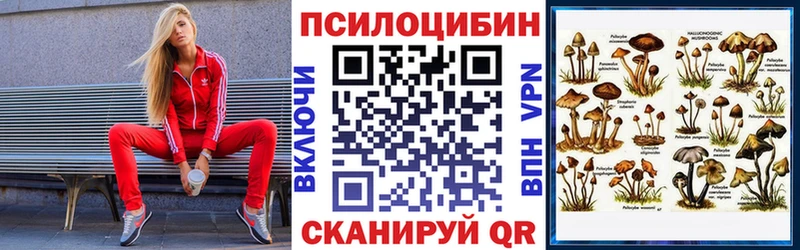 Галлюциногенные грибы MAGIC MUSHROOMS  shop как зайти  Советская Гавань 