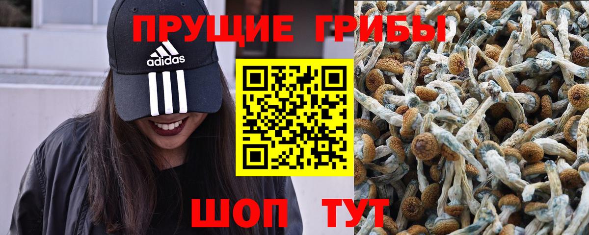 Псилоцибиновые грибы ЛСД Советская Гавань
