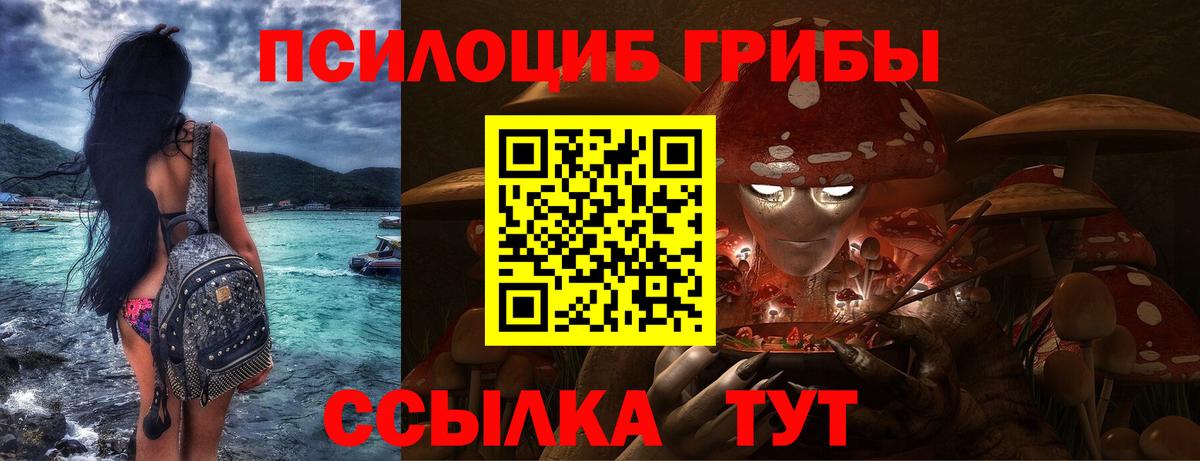 Советская Гавань  Галлюциногенные грибы Psilocybine cubensis  Галлюциногенные грибы MAGIC MUSHROOMS  Вход с VPN 